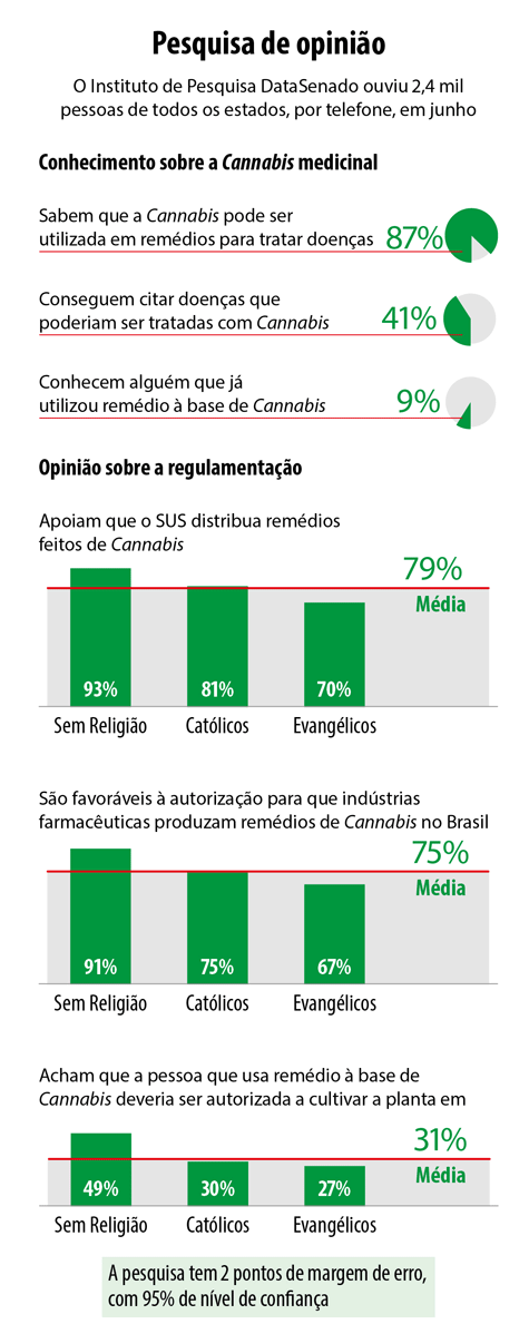 Entenda as discussões sobre a Cannabis medicinal Entenda as discussões sobre a Cannabis medicinal