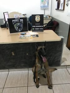 Polícia prende traficantes de drogas com o apoio de cão farejador
