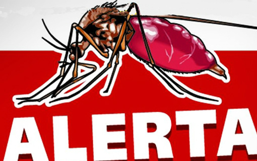 Municípios em alerta para a febre amarela; MG registra 14 mortes Municípios em alerta para a febre amarela; MG registra 14 mortes