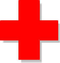 Bisavó acerta bebê ao tentar espantar gato e criança sofre traumatismo