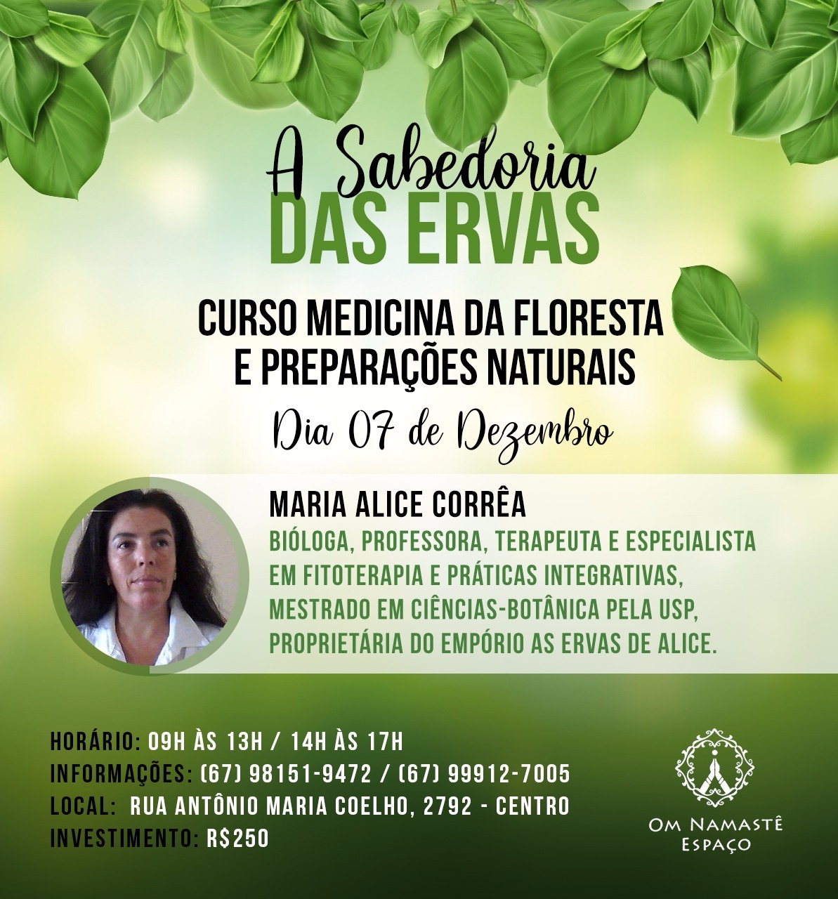 Curso Medicina da floresta e preparações naturais acontece em dezembro na Capital Divulgação