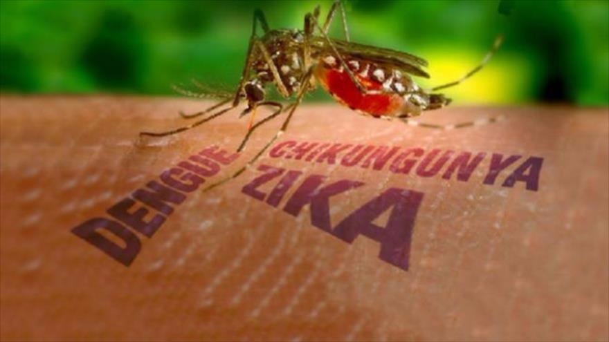 Professores da UFGD alertam sobre a Tríplice Epidemia: dengue, zika e chikungunya Foto Ilustrativa