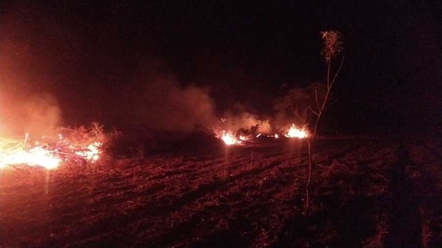 PMA multa em homem por colocar fogo em mata nativa Assentado havia realizado desmatamento de 6 hectares de vegetação nativa e ateado fogo - Divulgação/PMA