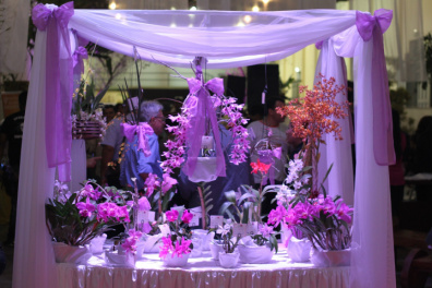 Estande da exposição de orquídeas do ano passado
Foto:SCS 