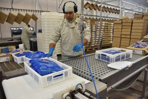Índice Geral de Desempenho Industrial de MS completa 17 meses acima dos 50 pontos