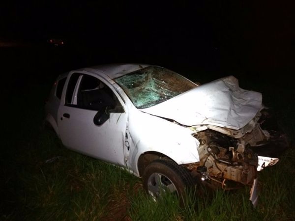 Veículo fica destruído após colidir contra anta em rodovia estadual