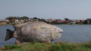 Câmara de vereadores