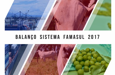 Produção de grãos e de carne bovina de MS cresce em 2017, mas preços baixos diminuem rentabilidade do produtor