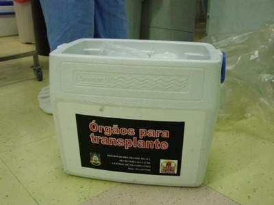 Novos critérios definem morte encefálica e afetam doação de órgãos | Foto: Lúcia Carraro / CP Memória

