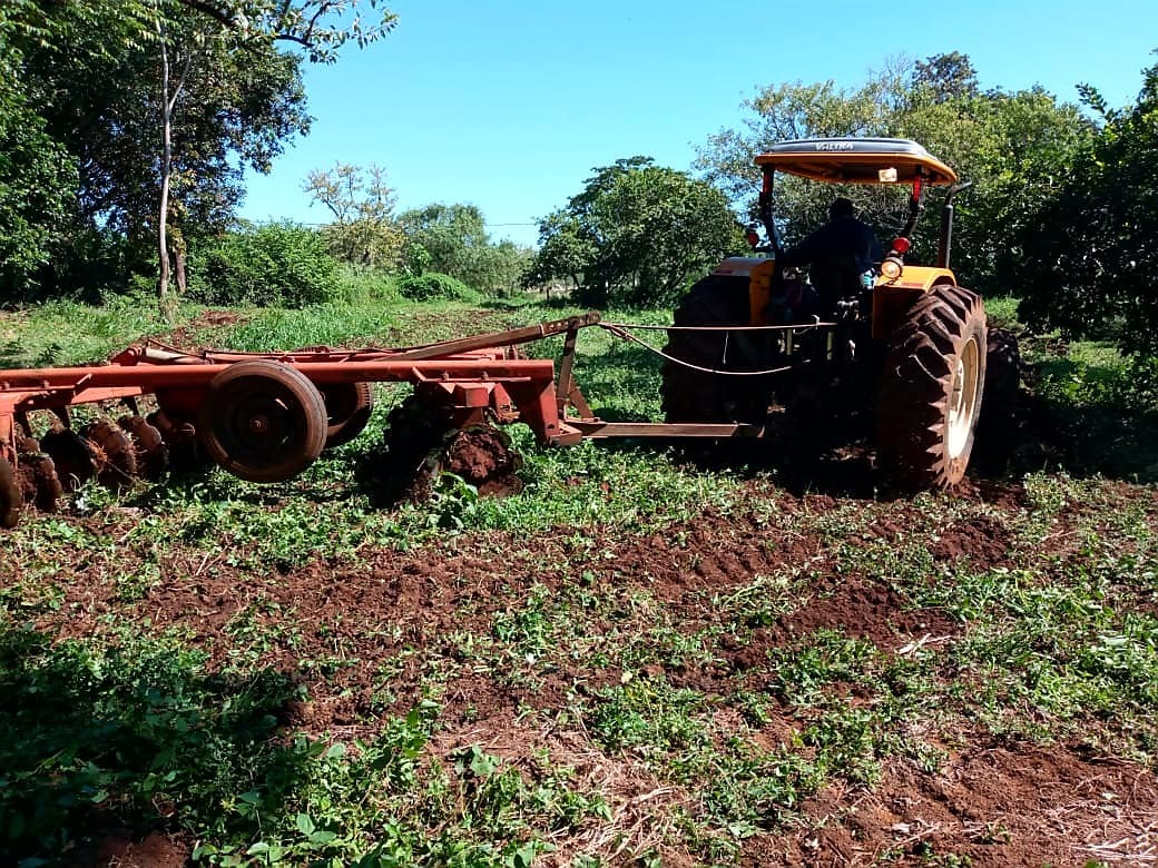 Prefeitura e ONG ajudam 80 famílias venezuelanas na produção de alimentos Divulgação