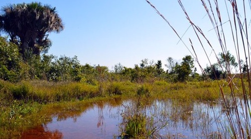 Imasul pode exigir que a Águas Guariroba faça estudo de águas subterrâneas em Campo Grande
