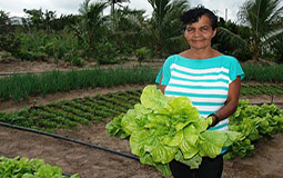 Garantia-Safra: agricultores familiares receberão recurso a partir de dezembro