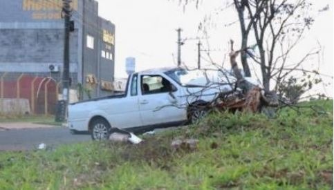 Dois ficam feridos após carro bater em árvore em canteiro de avenida O veículo chegou a derrubar uma árvore. Henrique Kawaminami/CG News