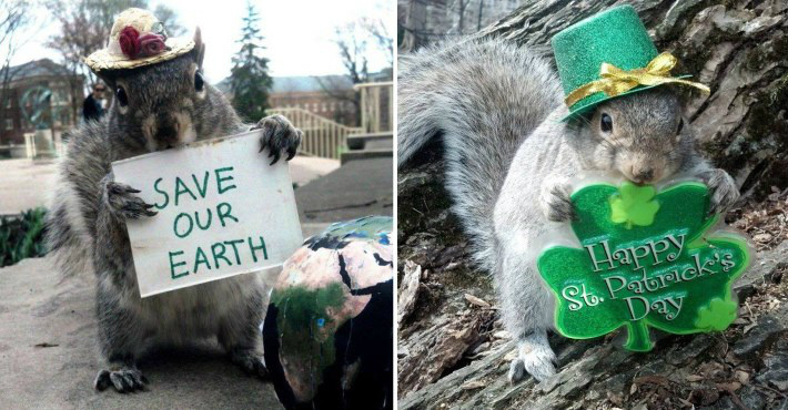 Jovem supera autismo ao interagir com esquilos em campus e vira sensação na internet
