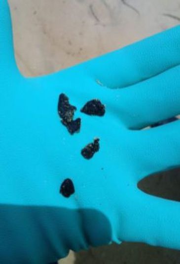 Fragmentos de manchas de óleo são encontrados no Rio de Janeiro - Reprodução Ibama