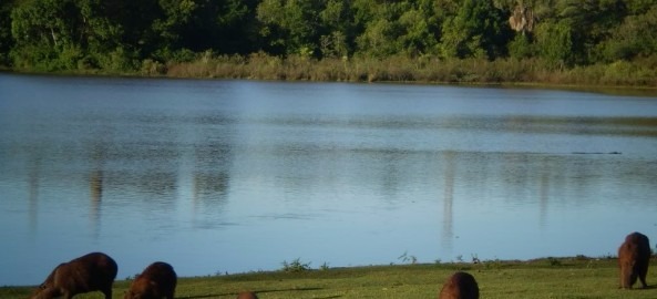 Lago do Amor pode desaparecer em 20 anos, dizem pesquisadores