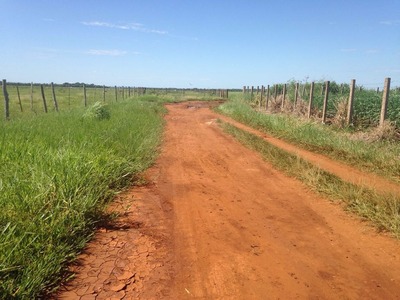 Local onde homem foi encontrado morto, em Campo Grande, MS (Foto: Osvaldo Nóbrega/TV Morena)
