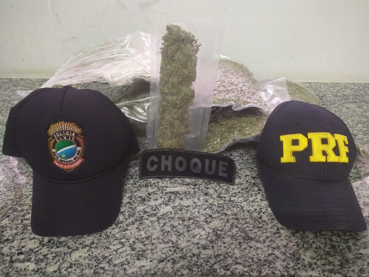 Divulgação
