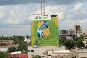 Sicredi entrega revitalização da pintura dos painéis das araras em Dourados