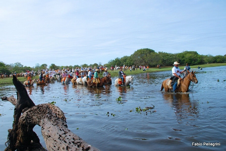 Estudo da UEMS mostra potencial da economia criativa no Pantanal de MS Estudo da UEMS mostra potencial da economia criativa no Pantanal de MS