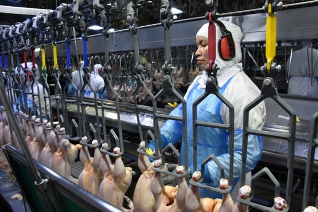 Atividade industrial segue estável na maioria das empresas de Mato Grosso do Sul Atividade industrial segue estável na maioria das empresas de Mato Grosso do Sul