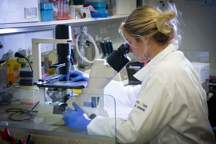 Pesquisadores mostram relação de água contaminada com zika vírus Presença de toxinas na água consumida pela população nordestina contribuiu para aumentar o número de casos de microcefalia associados à epidemia do vírus zika na Região Nordeste - Arquivo IDOR / Agência Brasil