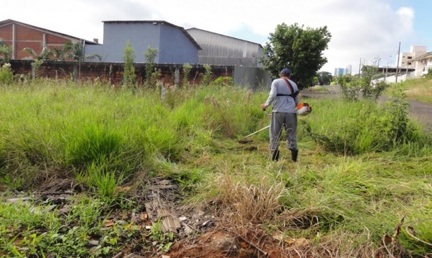Prefeitura alerta para a importância de manter os terrenos limpos