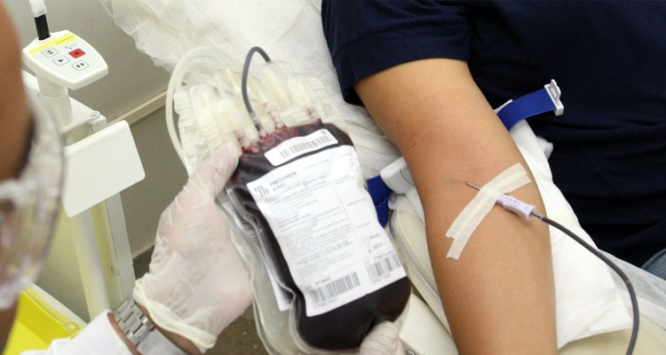 Hoje é o Dia Nacional do Doador Voluntário de Sangue Foto Ilustrativa