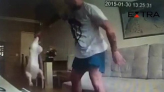 Rafael foi flagrado por câmeras instaladas pela então noiva, dona das cachorras Foto: Reprodução de vídeo
