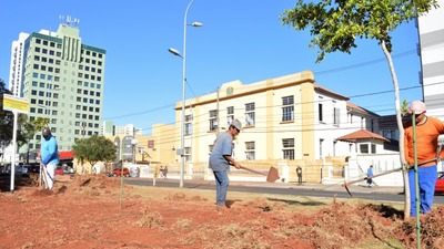 Parceria garante revitalização de trecho do canteiro central da Afonso Pena