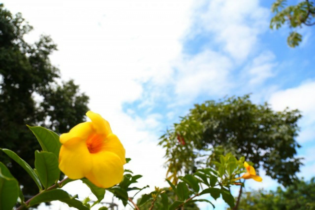 Verão chega dia 21 e traz máxima de 35ºC, chuvas e alerta para raios Começo da nova estação é marcado por dia mais longo do ano. (Foto: Marcos Ermínio)