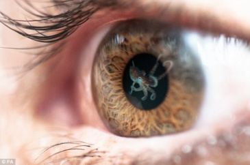 Cientistas revelam super sentido humano para enxergar a terceira propriedade da luz, através de treinamento visual