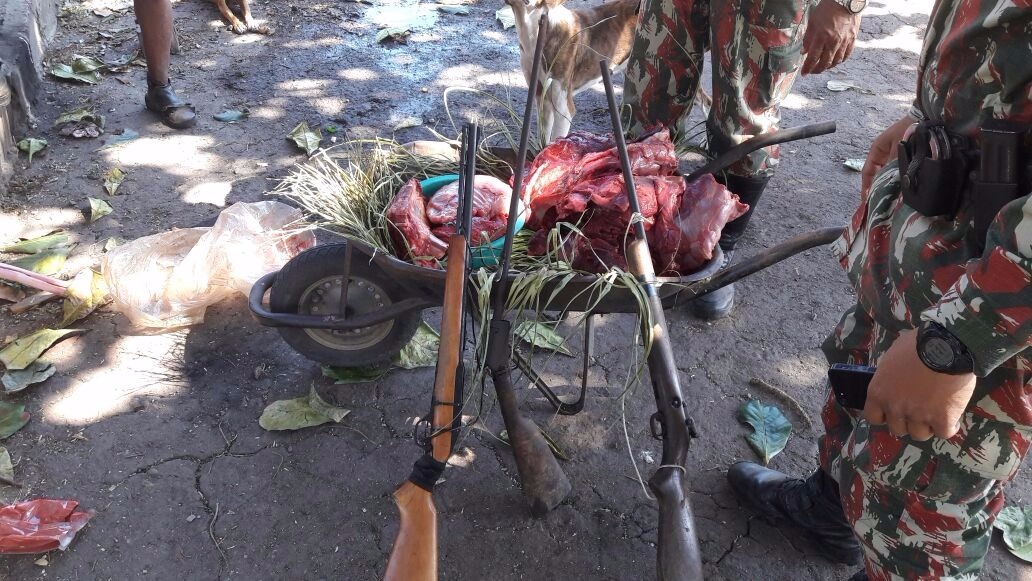 Caçador é preso e multado com três rifles e animais abatidos em fazenda Caçador é preso e multado com três rifles e animais abatidos em fazenda