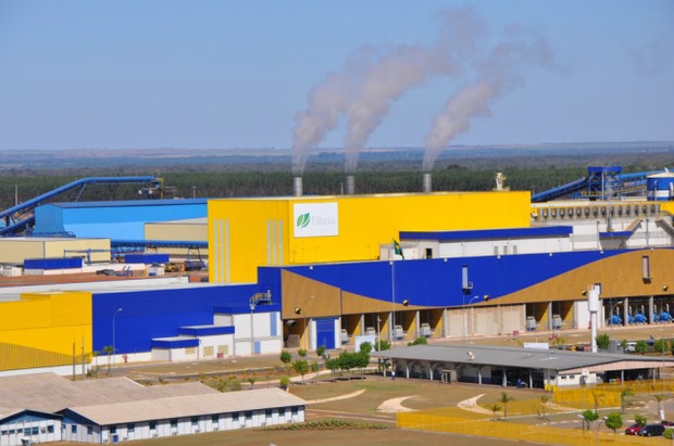 Suzano anuncia compra de terras e licença para instalação de fábrica de celulose em Ribas do Rio Pardo Suzano anuncia compra de terras e licença para instalação de fábrica de celulose em Ribas do Rio Pardo