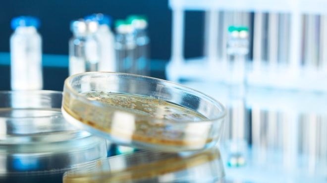 Uma das principais causas da resistência bacteriana é o uso excessivo de antibióticos, inclusive dentro do ambiente hospitalar.
Istock