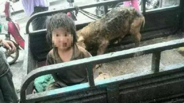Foto: Reprodução / Weibo