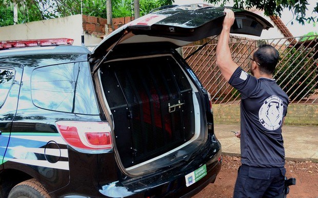 Homem é preso por estuprar e engravidar garota de 12 anos