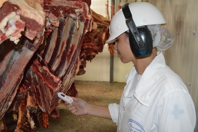 Profissionais que vão ser contratados vão trabalhar na inspeção de produtos de origem animal (Foto: Anderson Viegas/G1 MS)
