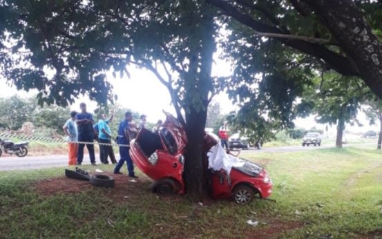Casal que morreu em colisão contra árvore é identificado Casal que morreu em colisão contra árvore é identificado