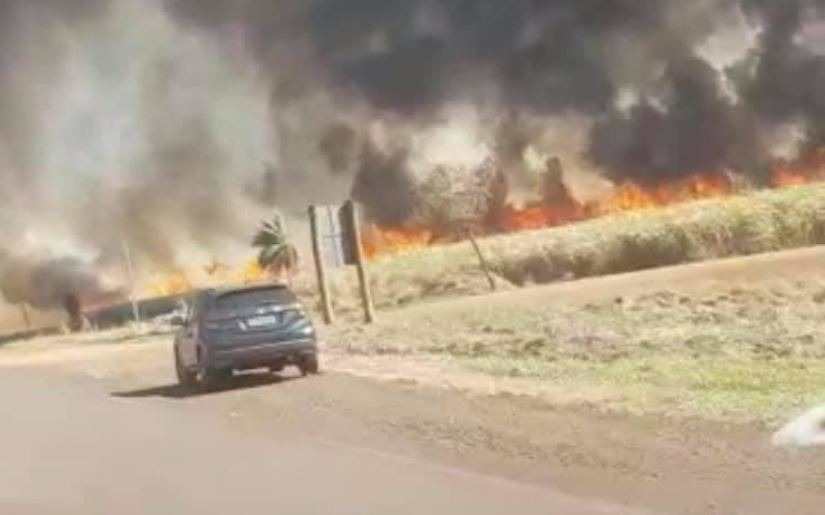 Incêndios de grandes proporções atingem às margens da MS-162 e BR-267 O fogo teve início em uma plantação de cana. Tudo do MS