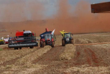 Previsões de junho indicam que a safra nacional deve totalizar 205,8 milhões de toneladas  Arquivo/Agência Brasil