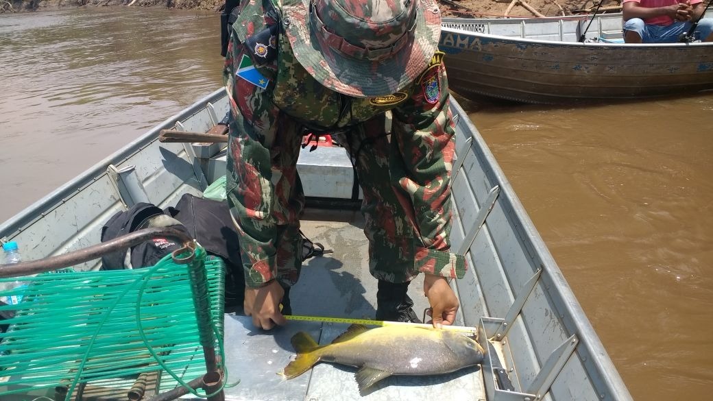 Polícia Militar Ambiental iniciará Operação Dia de Finados nesta quarta