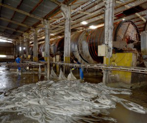 Curtumes do Estado também sentem efeitos da crise e reduzem pessoal, além de diminuir a produção de peles 
(Foto: Paulo Ribas / Correio do Estado)