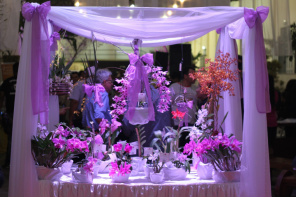Com apoio da Prefeitura, exposição de Orquídeas será realizada no Armazém Cultural de 14 à 16 de agosto Estande da exposição de orquídeas do ano passado
Foto:SCS
