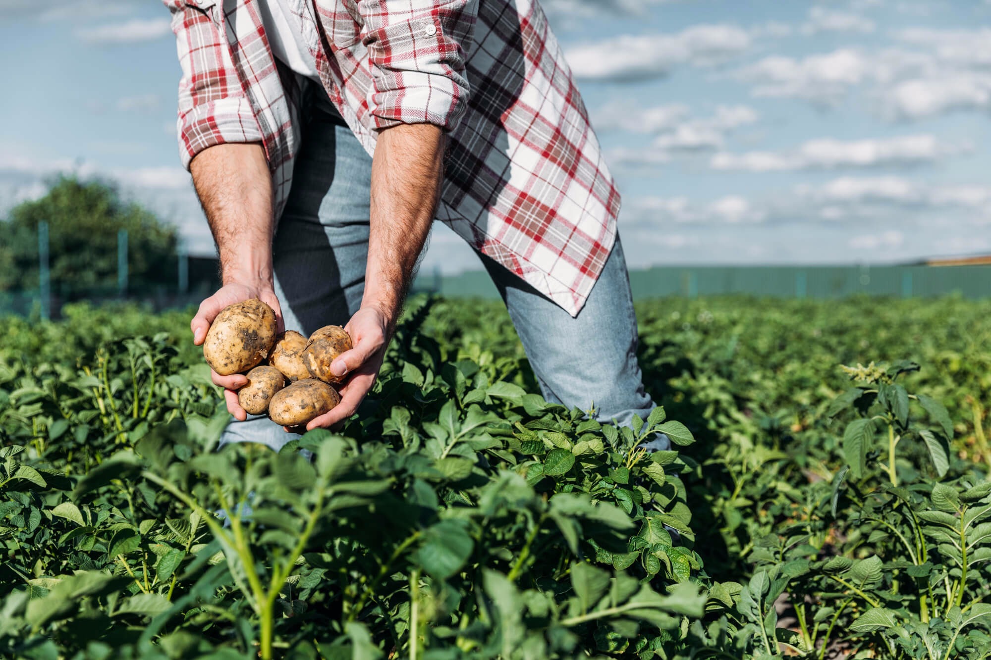Técnicas que reduzem custos para o produtor serão discutidas no 3º Fórum de Agricultura Sustentável Foto Ilustrativa