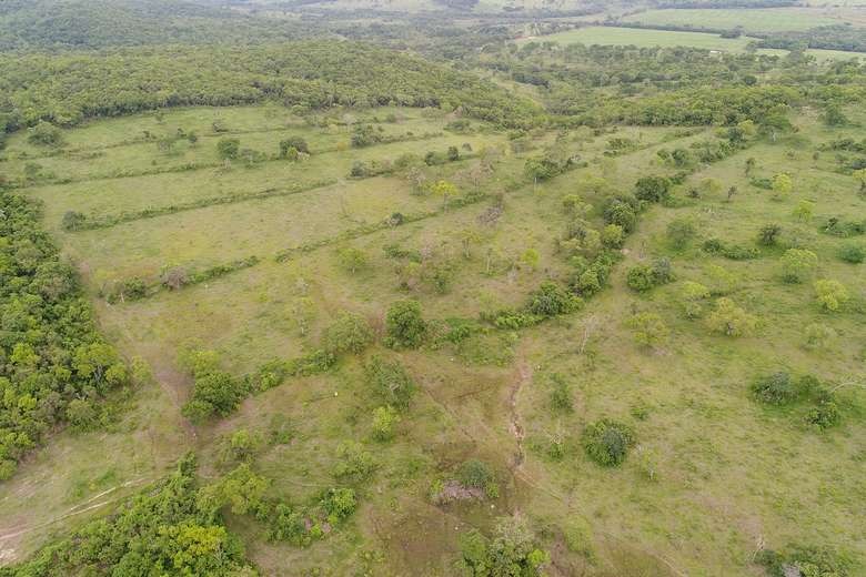 Área desmatada. PMA/Divulgação