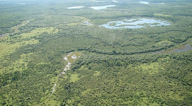 MS já tem 31 milhões de hectares inscritos no Cadastro Ambiental Rural