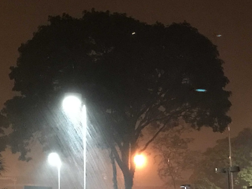 Início de primavera chuvosa em Campo Grande (MS) (Foto: Juliene Katayama)