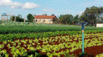 Foto: Divulgação
Crédito rural