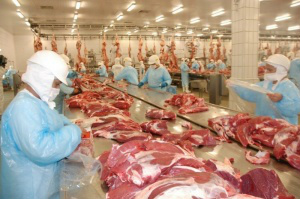 Falta de boi motiva fechamento de frigoríficos (Foto:Divulgação/Fiems)